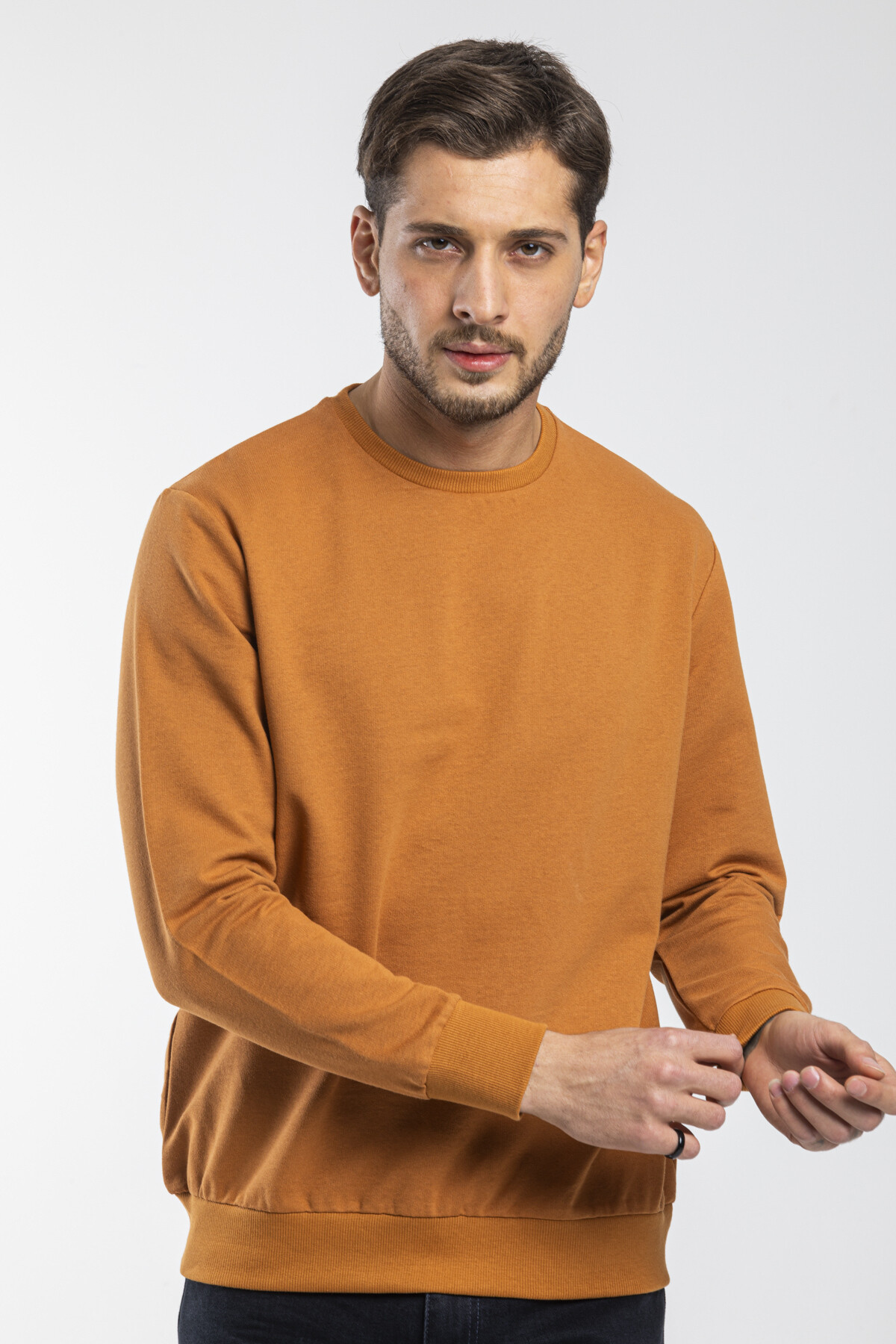 Süperlife Erkek Bisiklet Yaka Regular Fit İnce Sweatshirt SPR 20K30