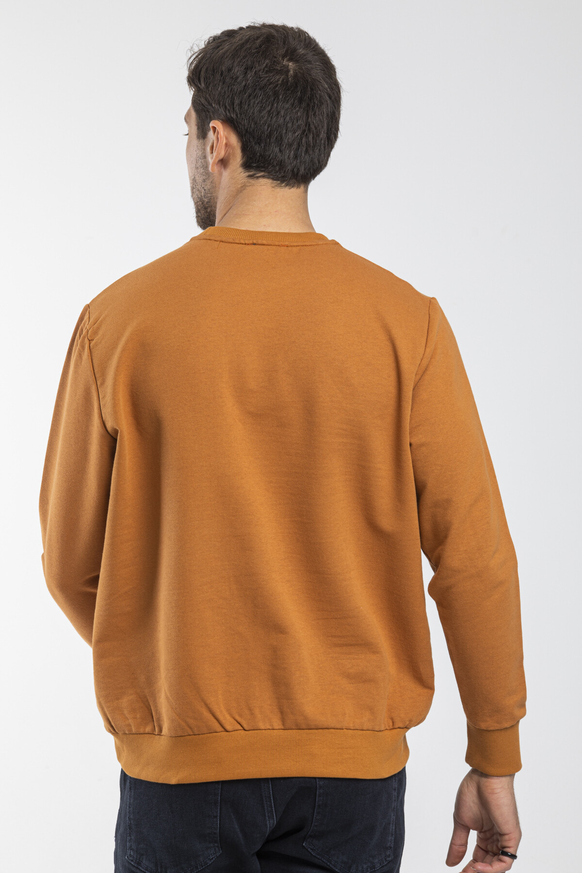 Süperlife Erkek Bisiklet Yaka Regular Fit İnce Sweatshirt SPR 20K30