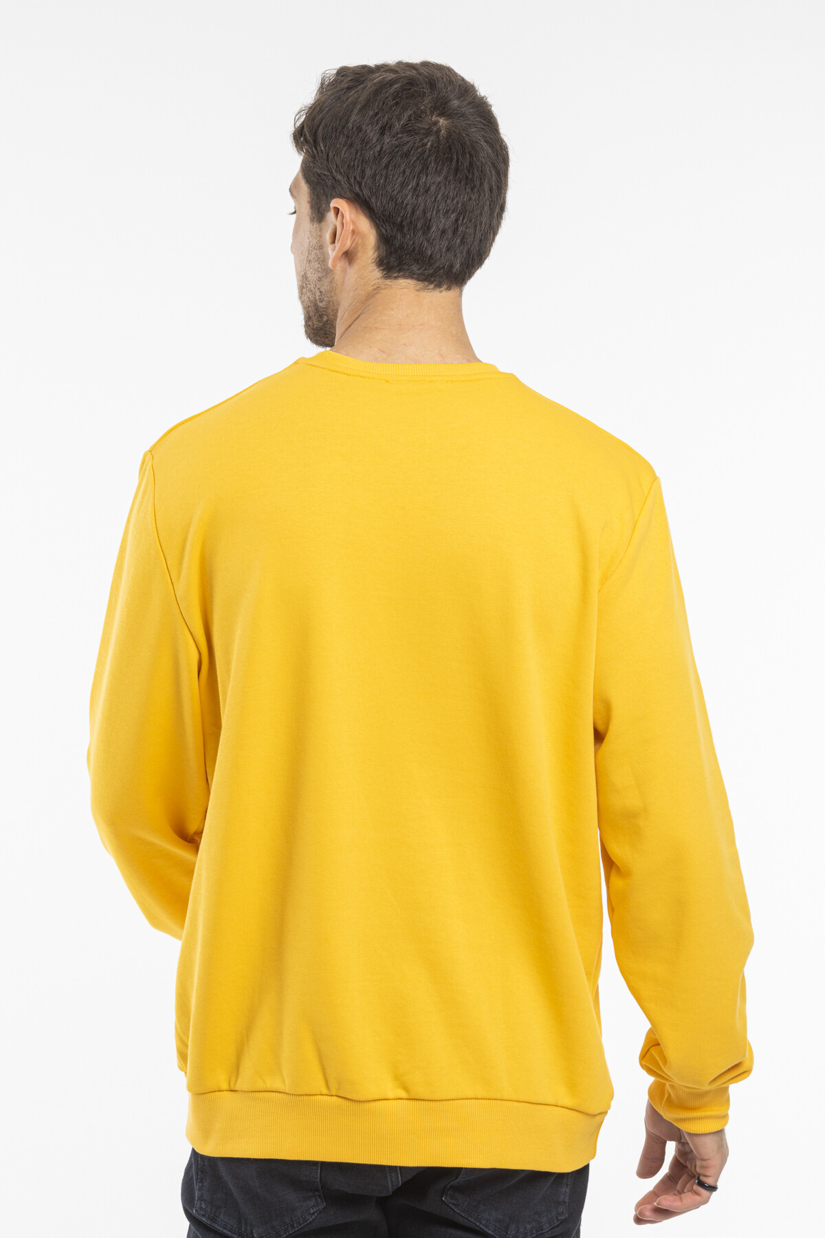 Erkek Bisiklet Yaka Rahat Kalıp 3 iplik İçi Polarlı Kalın Sweatshirt SPR25SW36