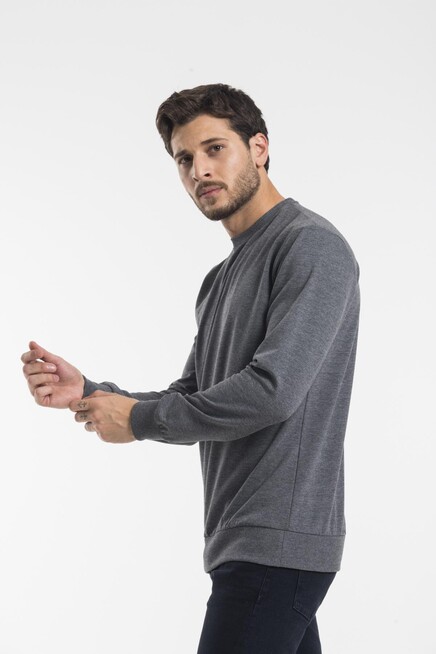 Süperlife Erkek Bisiklet Yaka Regular Fit İnce Sweatshirt SPR 20K30