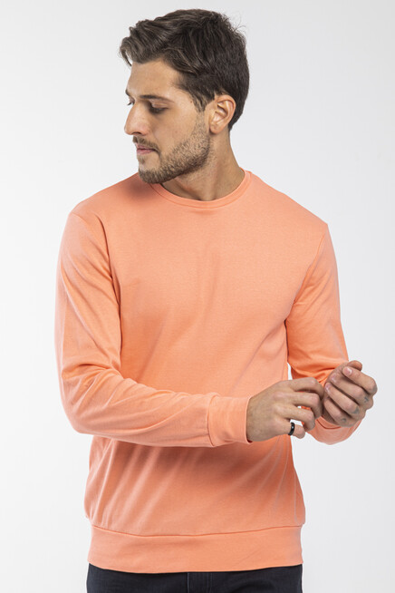 Süperlife Erkek Bisiklet Yaka Slim Fit İnce Sweatshirt SPR 20K17