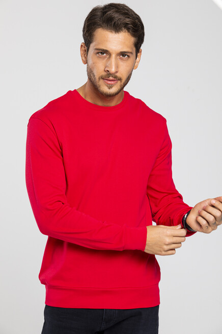 Süperlife Erkek Bisiklet Yaka Slim Fit İnce Sweatshirt SPR 20K17