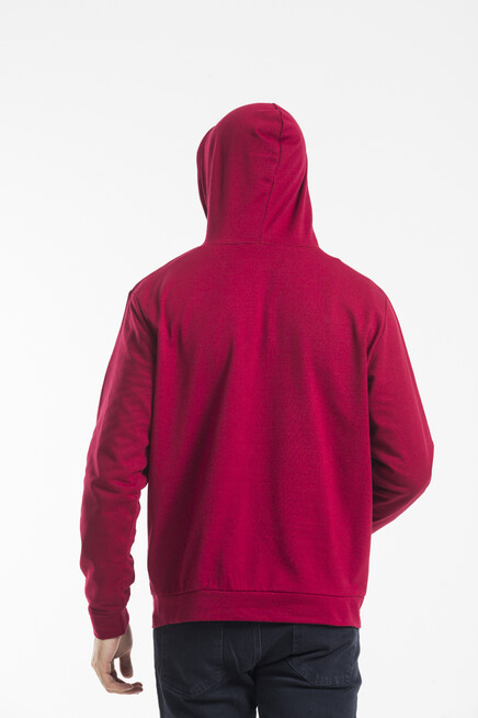 Süperlife Erkek Kapşonlu Regular Fit İnce Sweatshirt SPR 20K55