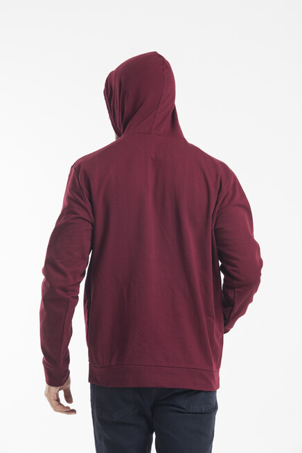 Süperlife Erkek Kapşonlu Regular Fit İnce Sweatshirt SPR 20K55