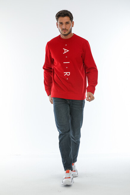 Süperlife Erkek Bisiklet Yaka Regular Fit AR Baskılı İnce Sweatshirt SPR22SW131