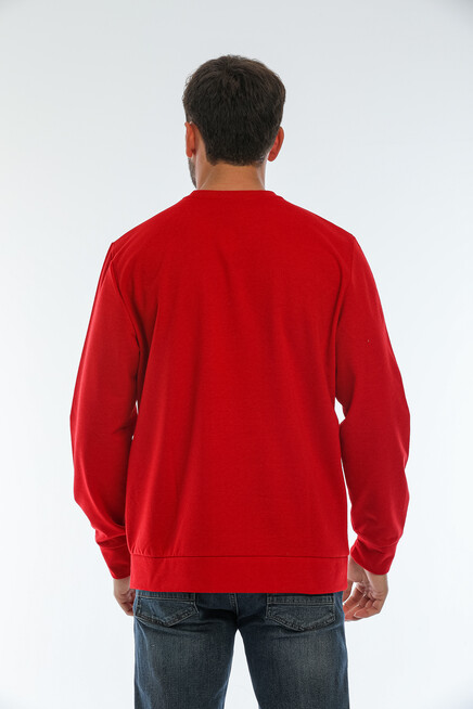 Süperlife Erkek Bisiklet Yaka Regular Fit AR Baskılı İnce Sweatshirt SPR22SW131