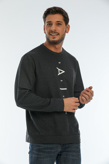 Süperlife Erkek Bisiklet Yaka Regular Fit AR Baskılı İnce Sweatshirt SPR22SW131