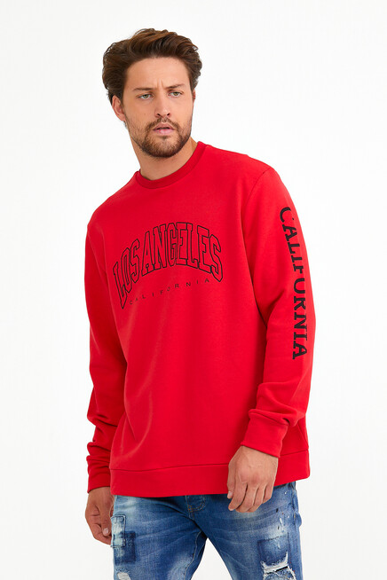 Süperlife Erkek Bisiklet Yaka Regular Fit Ön Ve Kol Baskılı İnce Sweatshirt SPR22SW133