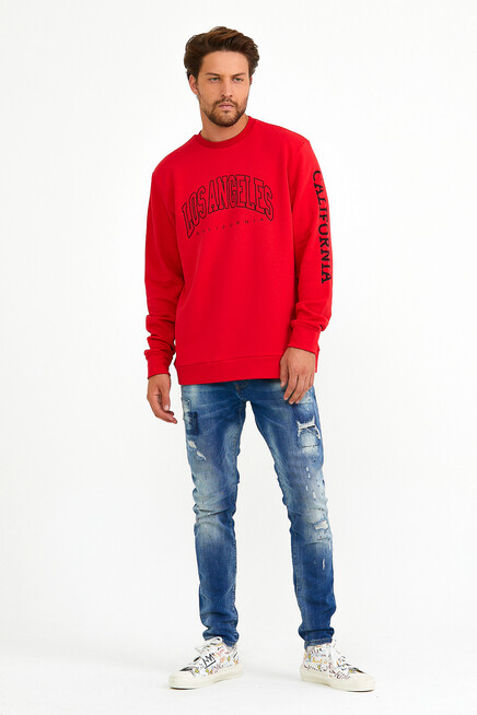Süperlife Erkek Bisiklet Yaka Regular Fit Ön Ve Kol Baskılı İnce Sweatshirt SPR22SW133