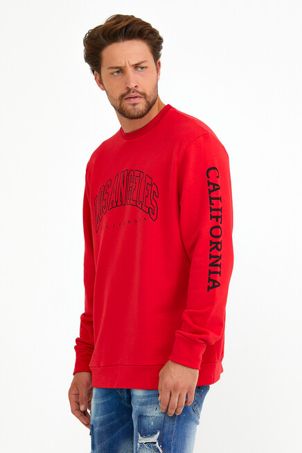 Süperlife Erkek Bisiklet Yaka Regular Fit Ön Ve Kol Baskılı İnce Sweatshirt SPR22SW133