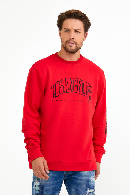 Süperlife Erkek Bisiklet Yaka Regular Fit Ön Ve Kol Baskılı İnce Sweatshirt SPR22SW133