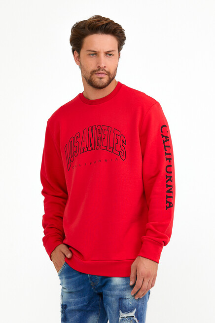 Süperlife Erkek Bisiklet Yaka Regular Fit Ön Ve Kol Baskılı İnce Sweatshirt SPR22SW133