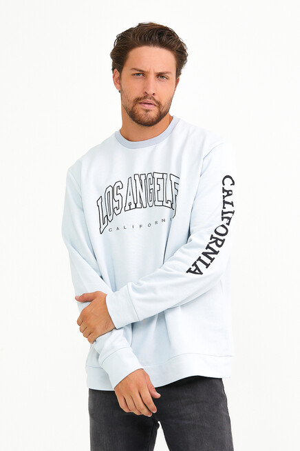 Süperlife Erkek Bisiklet Yaka Regular Fit Ön Ve Kol Baskılı İnce Sweatshirt SPR22SW133