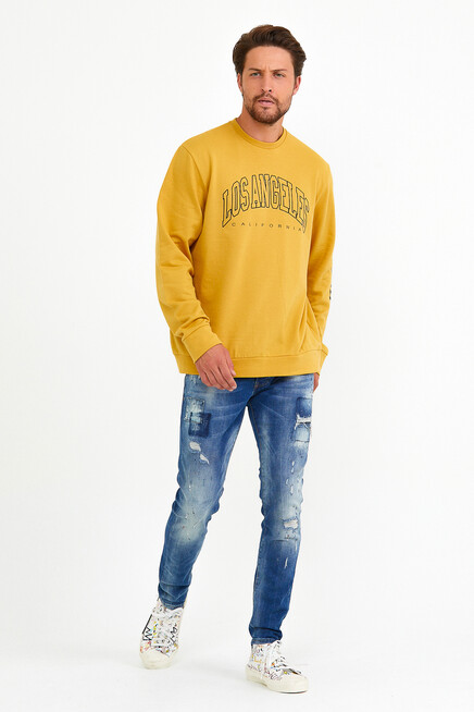 Süperlife Erkek Bisiklet Yaka Regular Fit Ön Ve Kol Baskılı İnce Sweatshirt SPR22SW133