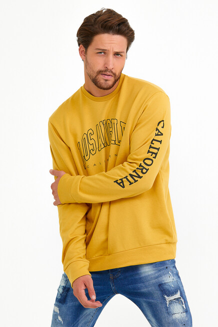 Süperlife Erkek Bisiklet Yaka Regular Fit Ön Ve Kol Baskılı İnce Sweatshirt SPR22SW133