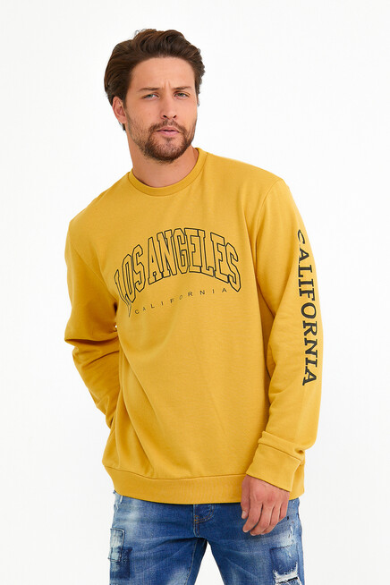 Süperlife Erkek Bisiklet Yaka Regular Fit Ön Ve Kol Baskılı İnce Sweatshirt SPR22SW133