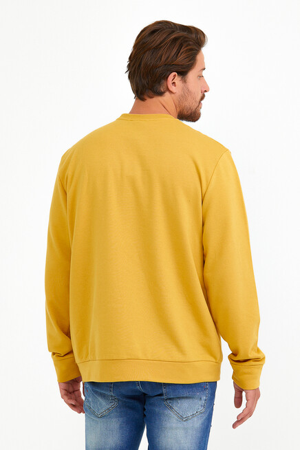 Süperlife Erkek Bisiklet Yaka Regular Fit Ön Ve Kol Baskılı İnce Sweatshirt SPR22SW133