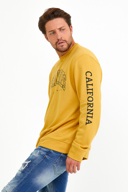 Süperlife Erkek Bisiklet Yaka Regular Fit Ön Ve Kol Baskılı İnce Sweatshirt SPR22SW133