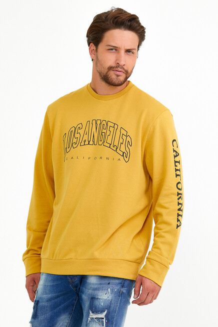 Süperlife Erkek Bisiklet Yaka Regular Fit Ön Ve Kol Baskılı İnce Sweatshirt SPR22SW133