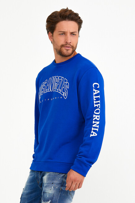 Süperlife Erkek Bisiklet Yaka Regular Fit Ön Ve Kol Baskılı İnce Sweatshirt SPR22SW133