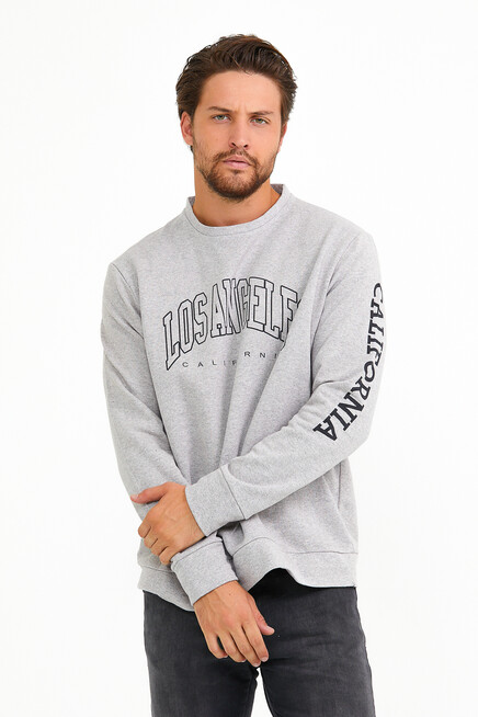 Süperlife Erkek Bisiklet Yaka Regular Fit Ön Ve Kol Baskılı İnce Sweatshirt SPR22SW133