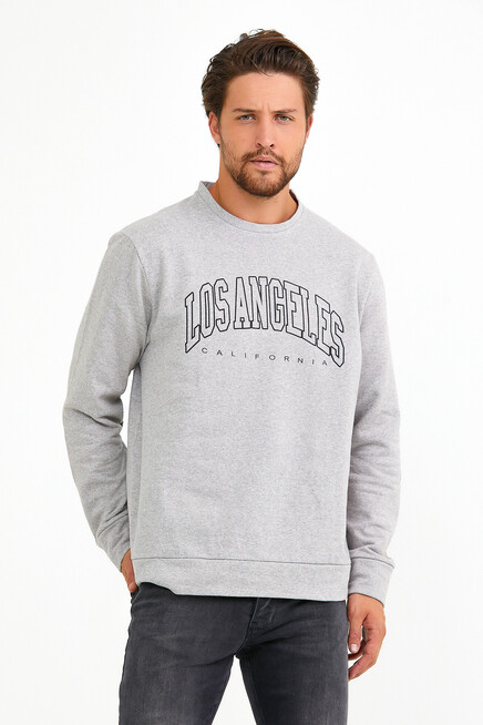 Süperlife Erkek Bisiklet Yaka Regular Fit Ön Ve Kol Baskılı İnce Sweatshirt SPR22SW133