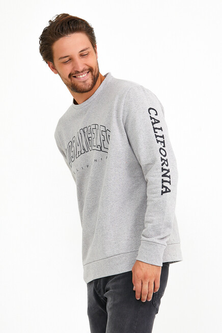 Süperlife Erkek Bisiklet Yaka Regular Fit Ön Ve Kol Baskılı İnce Sweatshirt SPR22SW133