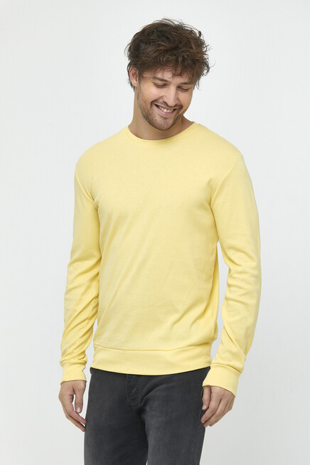 Süperlife Erkek Bisiklet Yaka Slim Fit İnce Sweatshirt SPR 20K17