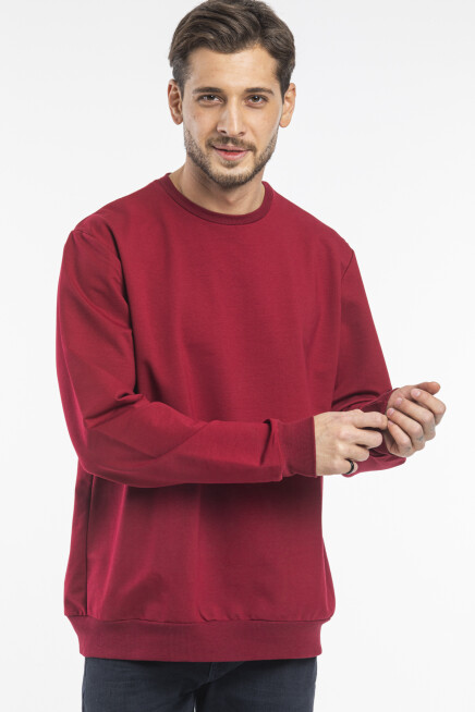 Süperlife Erkek Bisiklet Yaka Regular Fit İnce Sweatshirt SPR 20K30