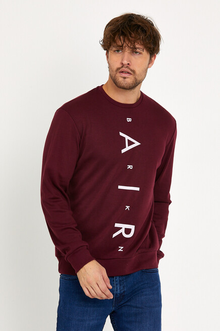 Süperlife Erkek Bisiklet Yaka Slim fit AR Baskılı İnce Sweatshirt SPR22sw101