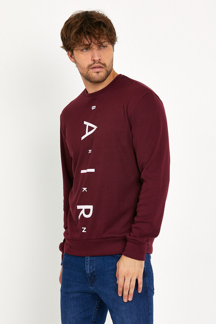 Süperlife Erkek Bisiklet Yaka Slim fit AR Baskılı İnce Sweatshirt SPR22sw101