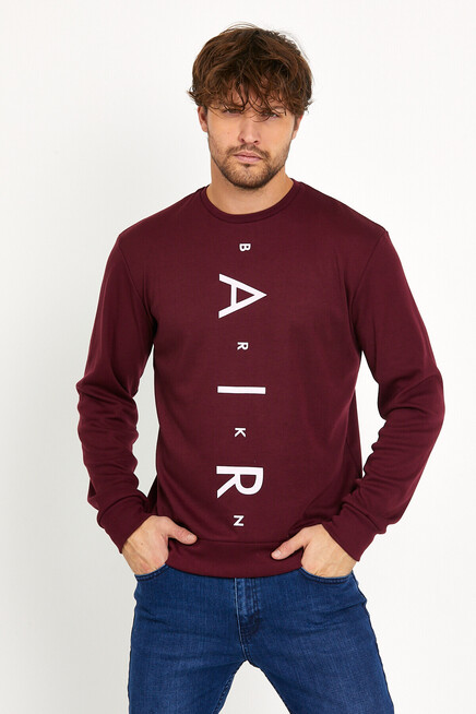 Süperlife Erkek Bisiklet Yaka Slim fit AR Baskılı İnce Sweatshirt SPR22sw101