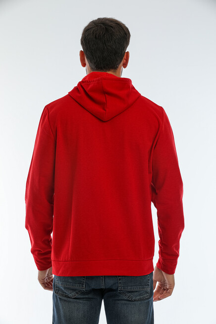 Süperlife Erkek Kapşonlu Regular Fit Air Baskılı İnce Sweatshirt SPR22SW162