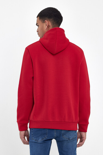 Erkek Kapşonlu Rahat Kalıp İçi Polarlı 3 iplik  Kalın AR Nakışlı Swetashırt spr24sw07