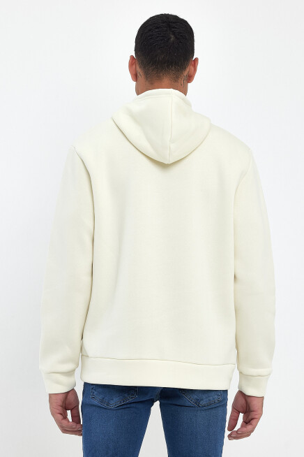  Kapşonlu Rahat Kalıp İçi Polarlı 3 iplik Tokyo Baskılı SweatShırt spr24sw12