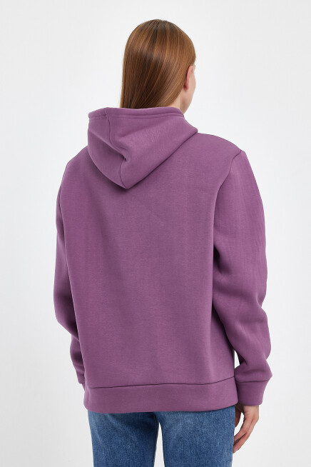 Kadın Kapşonlu Rahat Kalıp İçi Polarlı 3 iplik  W. Brooklyn Baskılı Swetashırt spr24swk04 