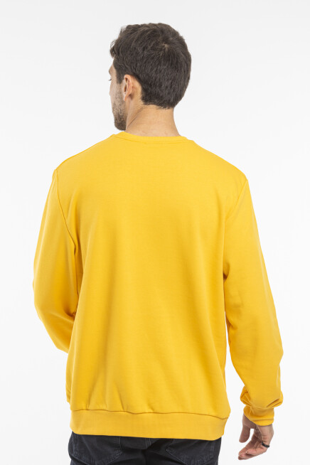 Erkek Bisiklet Yaka Rahat Kalıp 3 iplik İçi Polarlı Kalın Sweatshirt SPR24SW36