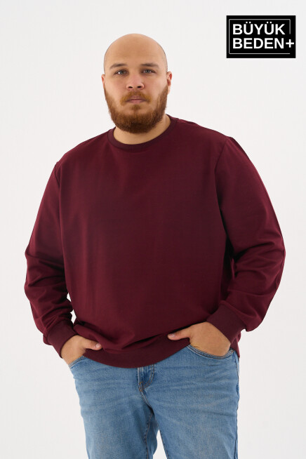 Erkek Büyük Beden Bisiklet Yaka ince Sweatshirt SPR24BSW56