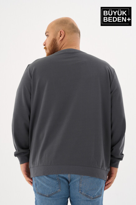 Erkek Büyük Beden Bisiklet Yaka ince Sweatshirt SPR24BSW56