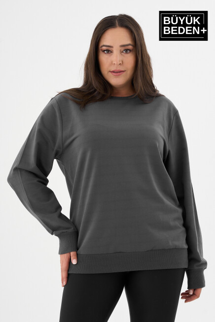 Kadın Büyük Beden Bisiklet Yaka İnce Sweatshirt SPR24BSWK56