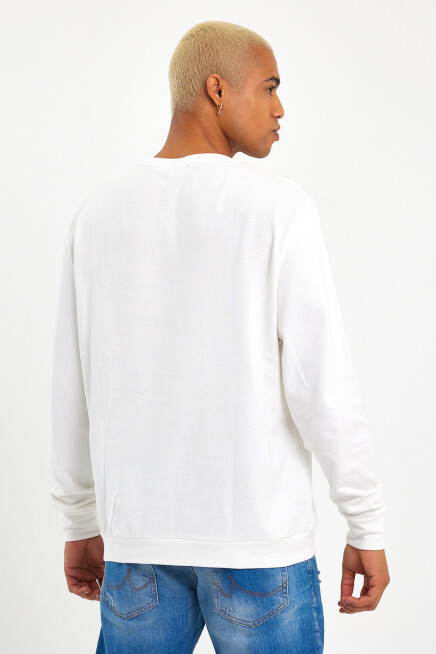 Süperlife Erkek Gri Bisiklet Yaka Ribanalı Regular Fit Sweatshirt spr26swk930