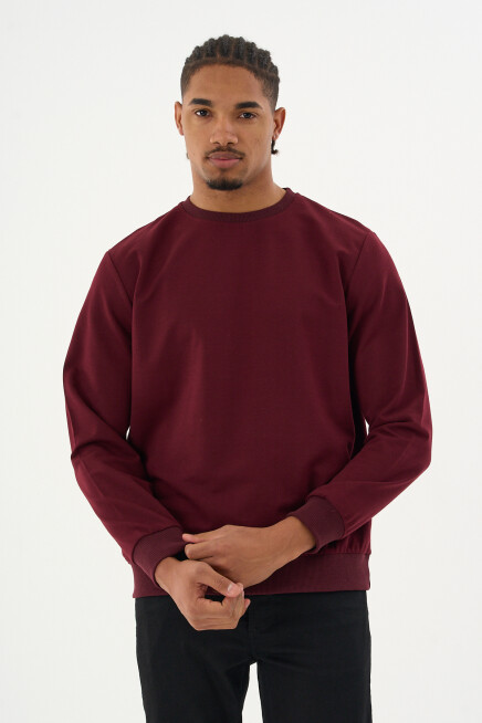 Süperlife Erkek Gri Bisiklet Yaka Ribanalı Regular Fit Sweatshirt spr26swk930