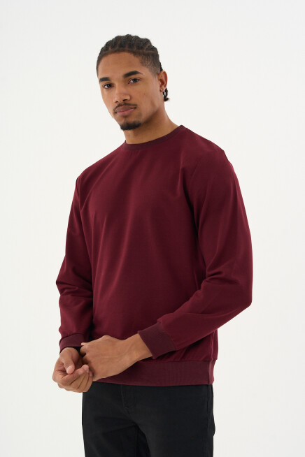 Süperlife Erkek Gri Bisiklet Yaka Ribanalı Regular Fit Sweatshirt spr26swk930