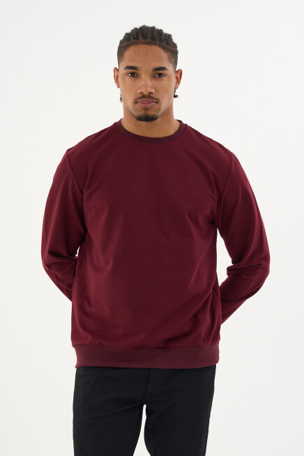 Süperlife Erkek Gri Bisiklet Yaka Ribanalı Regular Fit Sweatshirt spr26swk930