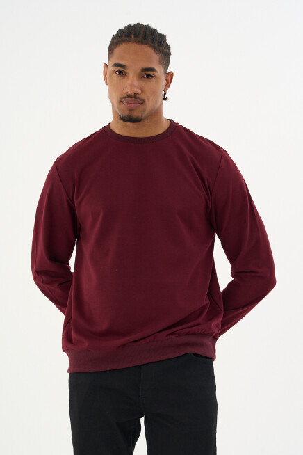 Süperlife Erkek Gri Bisiklet Yaka Ribanalı Regular Fit Sweatshirt spr26swk930