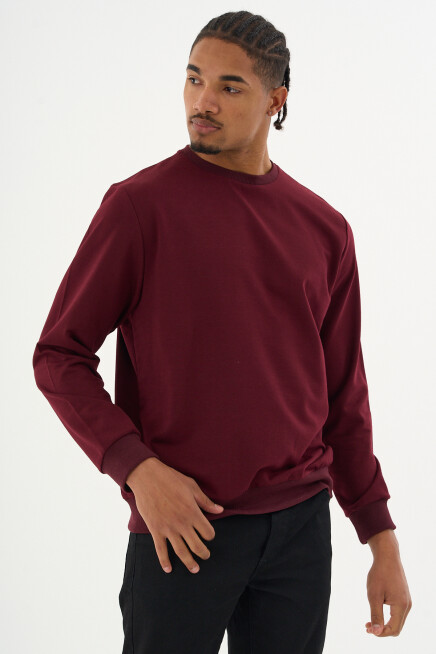 Süperlife Erkek Gri Bisiklet Yaka Ribanalı Regular Fit Sweatshirt spr26swk930