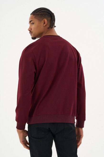 Süperlife Erkek Gri Bisiklet Yaka Ribanalı Regular Fit Sweatshirt spr26swk930