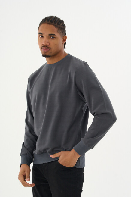 Süperlife Erkek Gri Bisiklet Yaka Ribanalı Regular Fit Sweatshirt spr26swk930