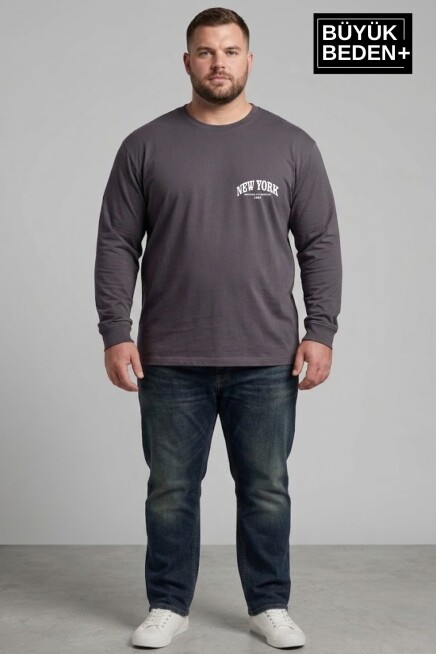 Erkek Büyük Beden New York Baskılı 2 İplik Bisiklet Yaka Tişört SPR26BTS942-5
