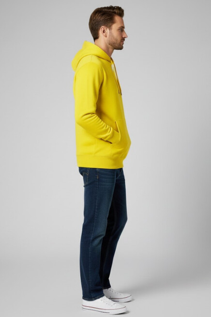 Erkek Kapşonlu Rahat Kalıp İçi Polarlı 3 iplik Kalın SweatShırt spr25sw55